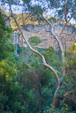 Katoomba Falls garden view