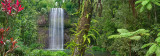 Milla milla rainforest waterfall