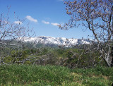 Tehachapi Snow Off 58 Near Hart Flat - KMinolta A200 .jpg