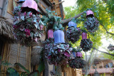 USA Disney Land