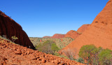 Kata Tjuta (The Olgas)