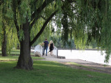 Bridge Walk