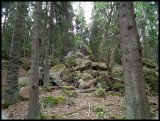 DSCF3572 Rocks in Judarskogen.jpg