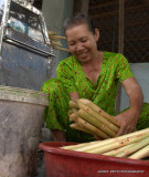 Sugar Cane IMG_4997.jpg