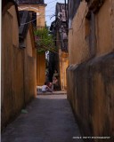 Alley IMG_5357.jpg