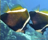 IMG_7422.jpg