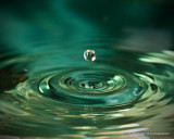 water droplet 2 IMG_7359.jpg