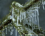 Icicles_MG_3116.jpg