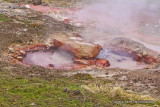 Red geyser_MG_3490.jpg