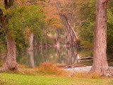 The Medina River