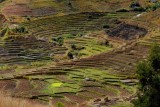 Madagascar
