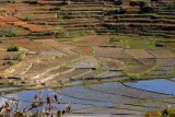 Madagascar