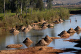 Madagascar