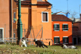 Burano