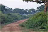 Bundala National Park