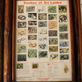 Sinharaja Information