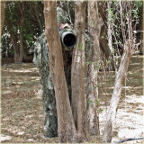 Camouflage