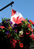 Canada Day Flowers