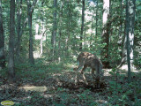 PICT0118.jpg