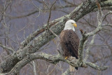 IMG_2077.jpg