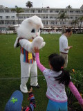 DSCN0229.JPG