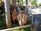 DSCN0293.JPG