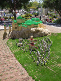 DSCN0390.JPG