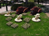 DSCN0391.JPG
