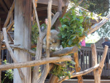 DSCN0465.JPG