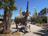DSCN0482.JPG