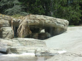 DSCN0513.JPG