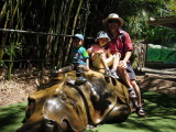 DSCN0518.JPG