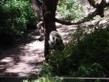 DSCN0527.JPG
