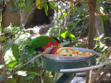 DSCN0533.JPG