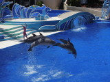 DSCN0601.JPG