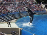 DSCN0668.JPG