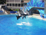 DSCN0682.JPG