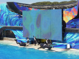 DSCN0689.JPG