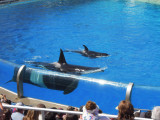 DSCN0691.JPG