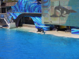 DSCN0696.JPG