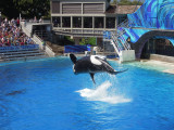 DSCN0697.JPG