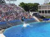 DSCN0701.JPG