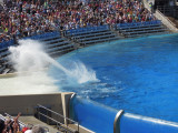 DSCN0703.JPG