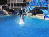 DSCN0708.JPG