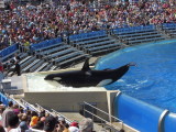 DSCN0716.JPG