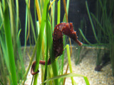 IMG_1532.JPG