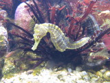 IMG_1540.JPG