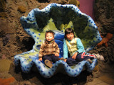 IMG_1564.JPG