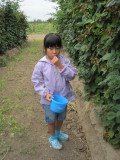 IMG_0517.JPG