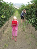 IMG_0520.JPG